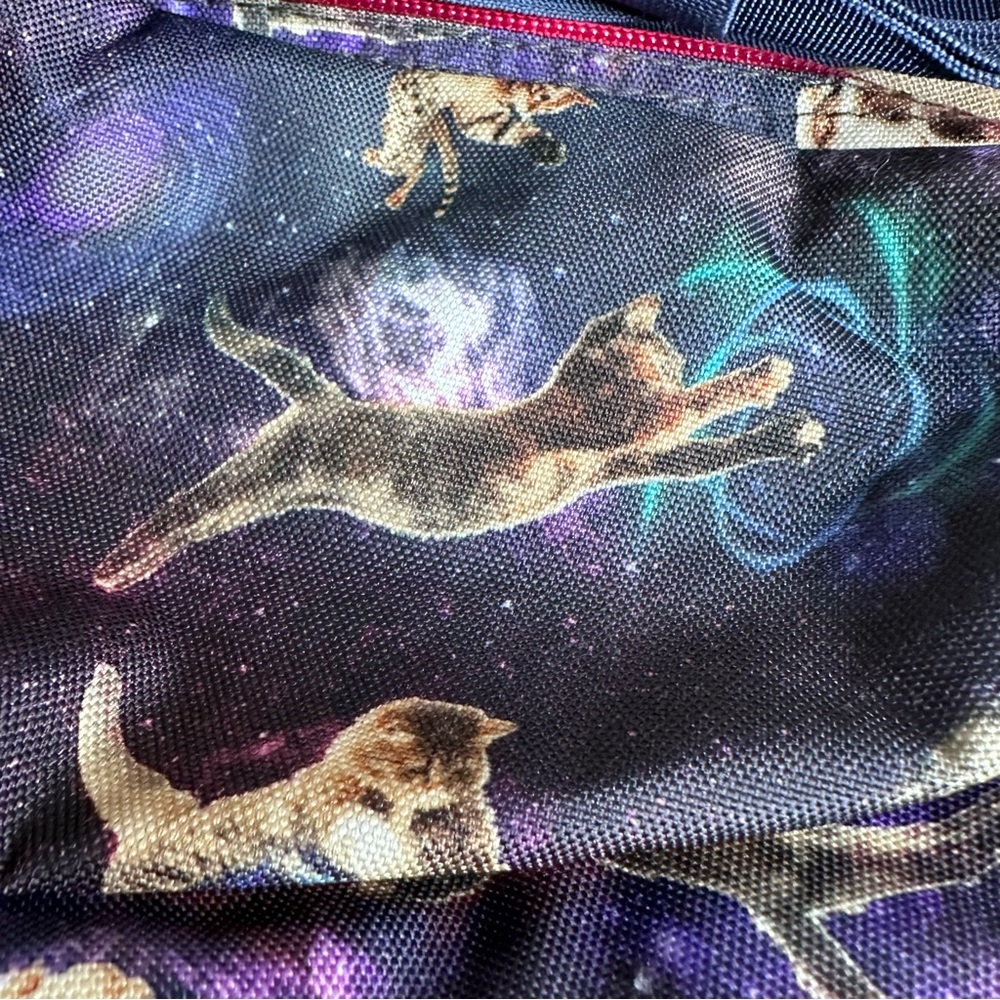 Jansport Galaxy Cat Dog Fanny Pack - Blue and Pink - Picture 4 of 8